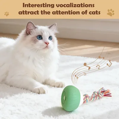 PetTribes Jouet automatique rechargeable pour chat