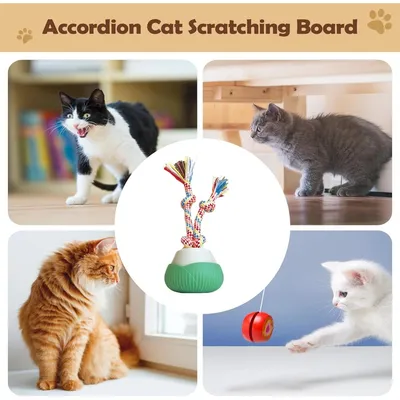 PetTribes Jouet automatique rechargeable pour chat