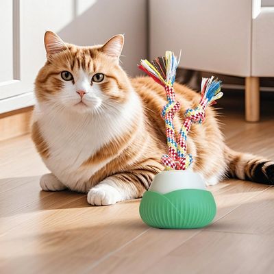 PetTribes Jouet automatique rechargeable pour chat