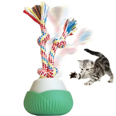 PetTribes Jouet automatique rechargeable pour chat