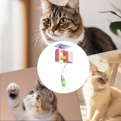 PetTribes Jouet interactif à suspendre sur la porte