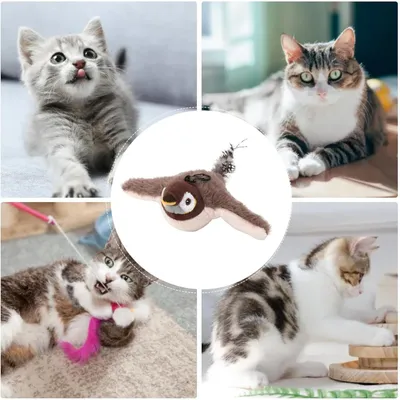PetTribes Oiseau à Battement USB pour Chat - Jouet Interactif