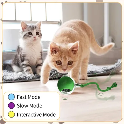 PetTribes Pelota interactiva automática para gatos (eléctrica)