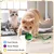 PetTribes Balle Interactive Automatique pour Chat Électrique