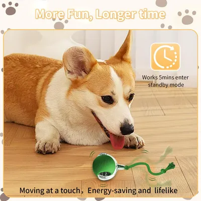 PetTribes Balle Interactive Automatique pour Chat Électrique