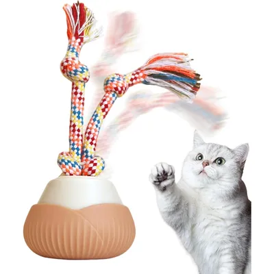 PetTribes Jouet automatique rechargeable pour chat