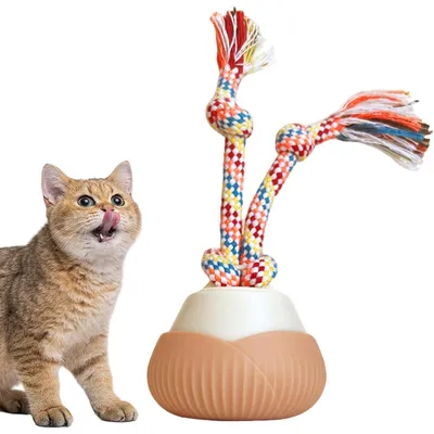 PetTribes Jouet automatique rechargeable pour chat