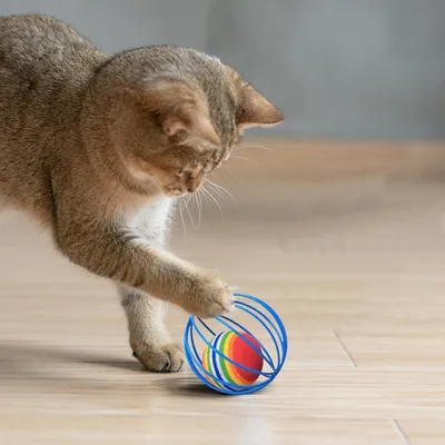 PetTribes Balle interactive avec souris pour chat