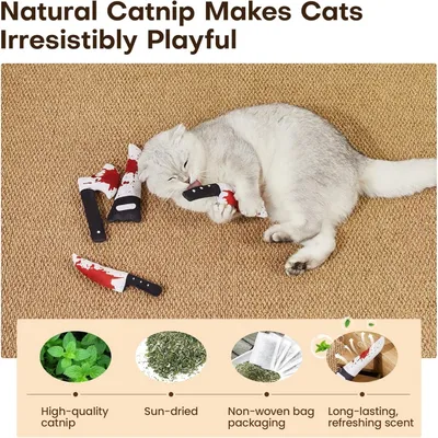 PetTribes 4 jouets interactifs pour stimuler l'instinct de votre chat