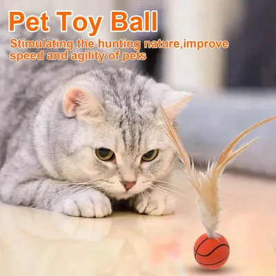 PetTribes Jouets pour chat 9 pièces - Balles sports avec plumes - 2025