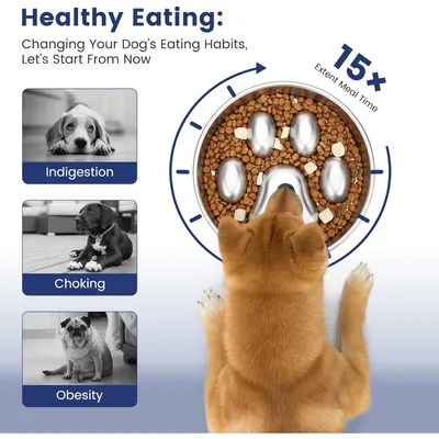 PetTribes Bol slow feed pour une digestion saine