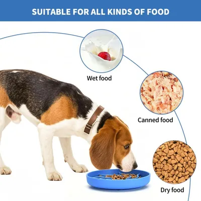 PetTribes Plato para perros que ralentiza la actividad