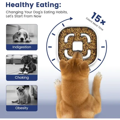 PetTribes Bol Slow Feed pour une digestion saine - Acier inox