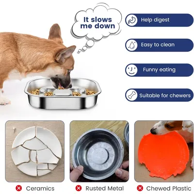 PetTribes Bol Slow Feed pour une digestion saine - Acier inox