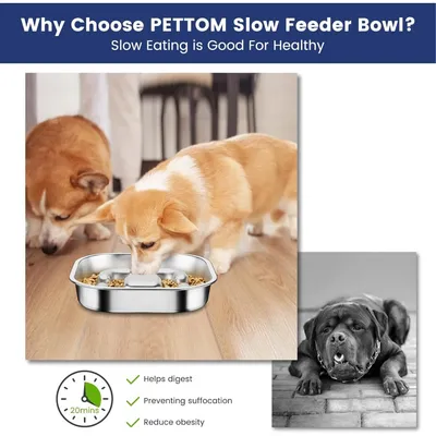 PetTribes Bol Slow Feed pour une digestion saine - Acier inox