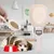 PetTribes Cuillère Nutrition Précise pour Animaux - Scientifique