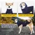 PetTribes Beruhigungsjacke für Hunde mit Kapuze PetTribes Beruhigungsjacke für Hunde mit Kapuze