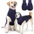 PetTribes Beruhigungsjacke für Hunde mit Kapuze PetTribes Beruhigungsjacke für Hunde mit Kapuze