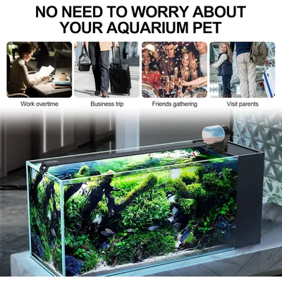 PetTribes Distributeur Nourriture Automatique - Minuteur Intégré