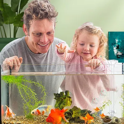 PetTribes Plateau de Nourriture Transparent pour Aquarium & Crevettes L