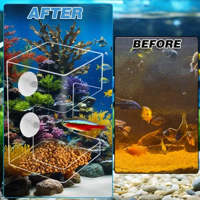 PetTribes Distributeur Carré Transparent à Ventouse