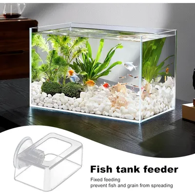 PetTribes Distributeur de Nourriture Automatique pour Aquarium