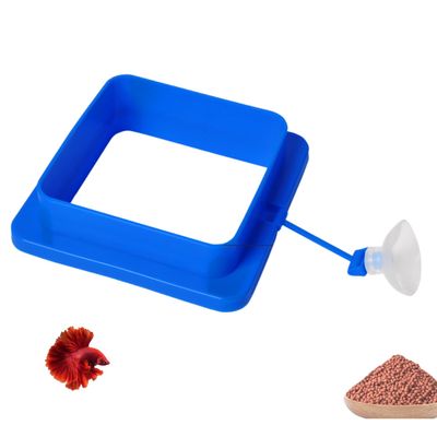 PetTribes Anneau nourrisseur carré flottant