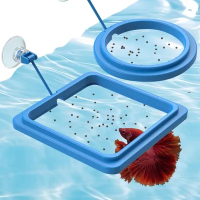 PetTribes Anneau nourrisseur carré flottant