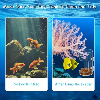 PetTribes Plateau d'Alimentation avec Ventouse pour Aquariums