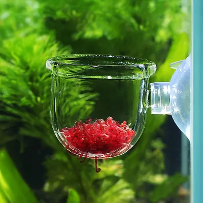 PetTribes Nourrisseur Plantes Aquatiques - 2 Tasses