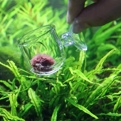 PetTribes Nourrisseur Plantes Aquatiques - 2 Tasses
