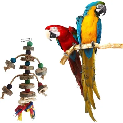 PetTribes Jouet à Mâcher Perroquet - Perles en Bois Colorées