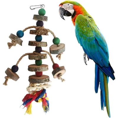 PetTribes Jouet à Mâcher Perroquet - Perles en Bois Colorées