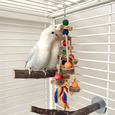 PetTribes Jouet à Mâcher Perroquet - Perles en Bois Colorées