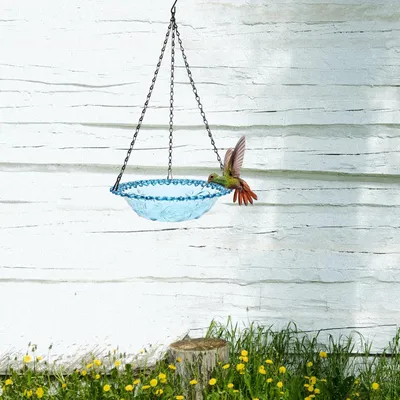 PetTribes Bain et Mangeoire Suspendus pour Oiseaux - Extérieur