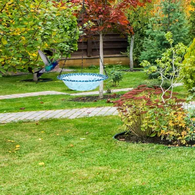 PetTribes Bain et Mangeoire Suspendus pour Oiseaux - Extérieur
