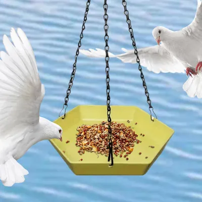 PetTribes Mangeoire à Oiseaux Suspendue - Forme Hexagonale