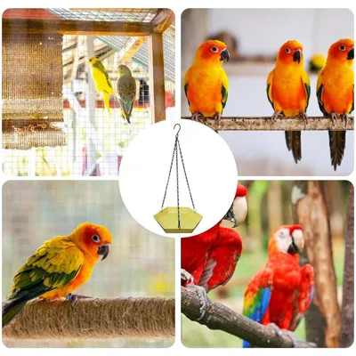 PetTribes Mangeoire à Oiseaux Suspendue - Forme Hexagonale