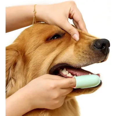 PetTribes Brosse à Dents Souple pour Chien et Chat - Soin Dentaire 2pcs