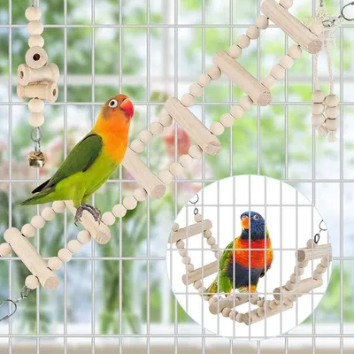 PetTribes Jouets Cage Oiseaux - Balançoire et Hamac Suspendu