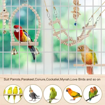 PetTribes Jouets Cage Oiseaux - Balançoire et Hamac Suspendu