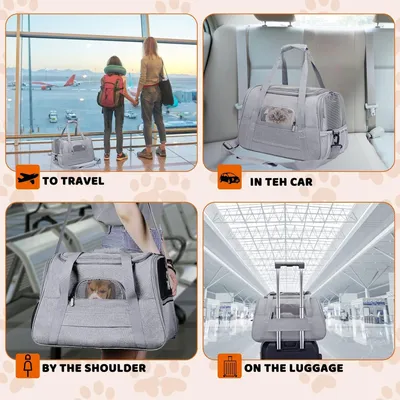 PetTribes Sac de Transport Pliable et Aéré pour Chat/Chien