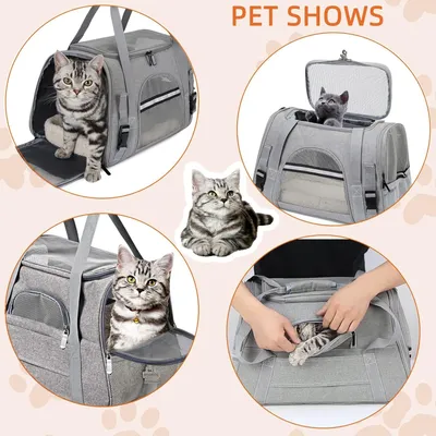 PetTribes Sac de Transport Pliable et Aéré pour Chat/Chien