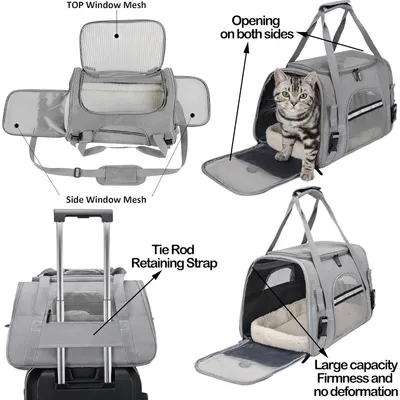 PetTribes  Sac Transport Chat