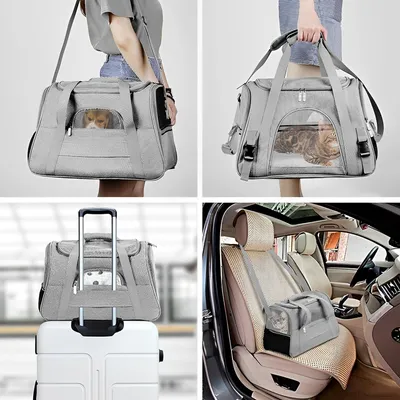 PetTribes  Sac Transport Chat