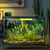 PetTribes Capteur température aquarium - Monitoring précis