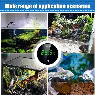 PetTribes Capteur température aquarium - Monitoring précis