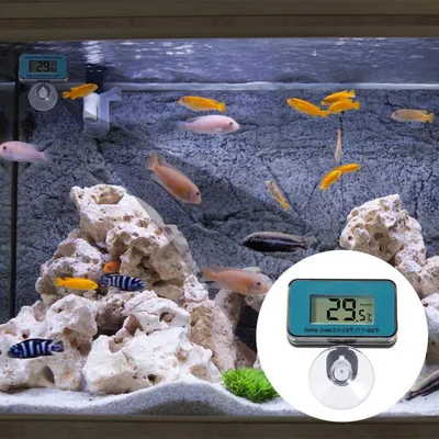 PetTribes Thermomètre Numérique Aquarium - Lecture Facile LCD PetTribes Thermomètre Numérique Aquarium - Lecture Facile LCD