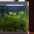 PetTribes Thermomètre Digital Aquarium/Terrarium PetTribes Thermomètre Digital Aquarium/Terrarium