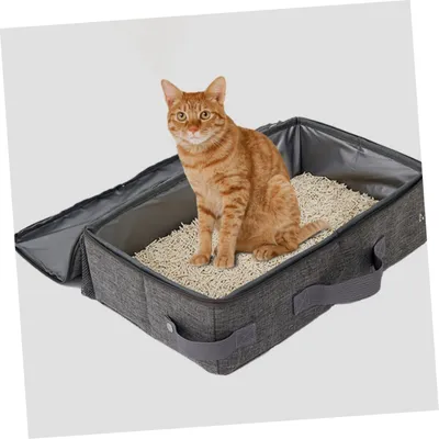 PetTribes Litière Portable Chat - Pliable & Étanche